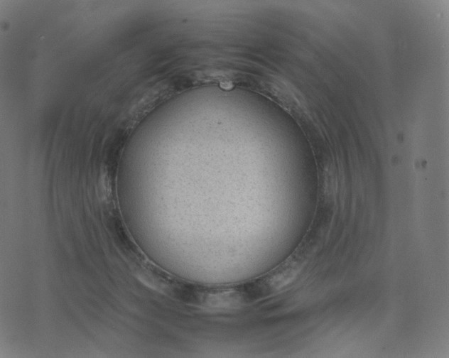 X0000070370173200606231656