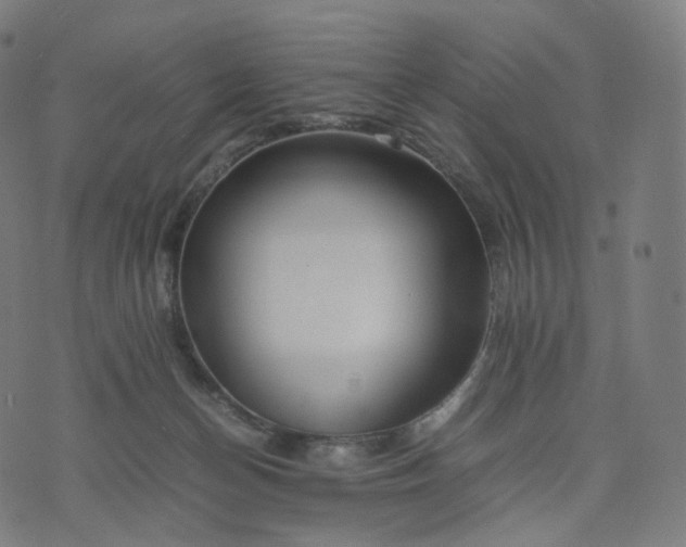 X0000070370174200606231656