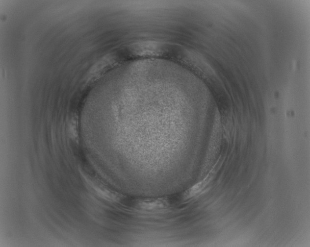 X0000070370175200606231656