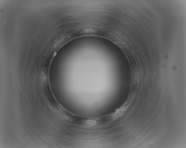 X0000070370176200606231656