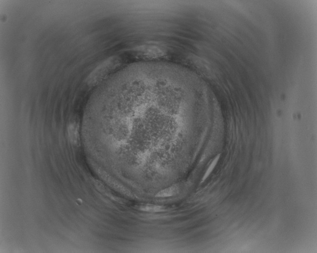 X0000070370177200606231656