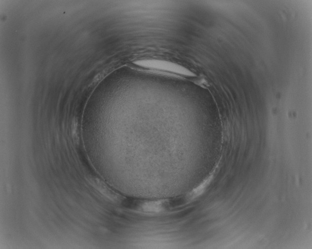 X0000070370178200606231656