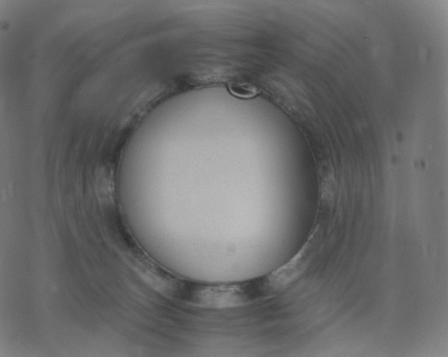 X0000070370179200606231656