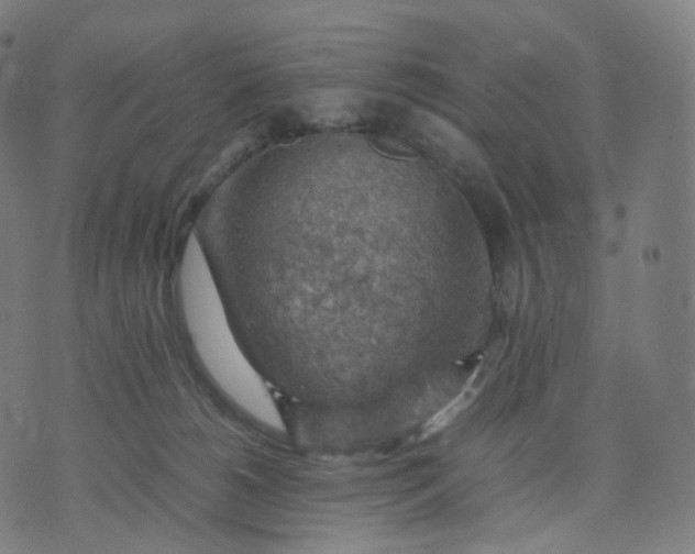 X0000070370180200606231656