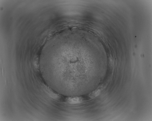 X0000070370181200606231656