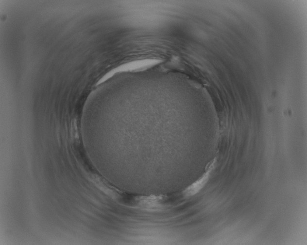 X0000070370182200606231656