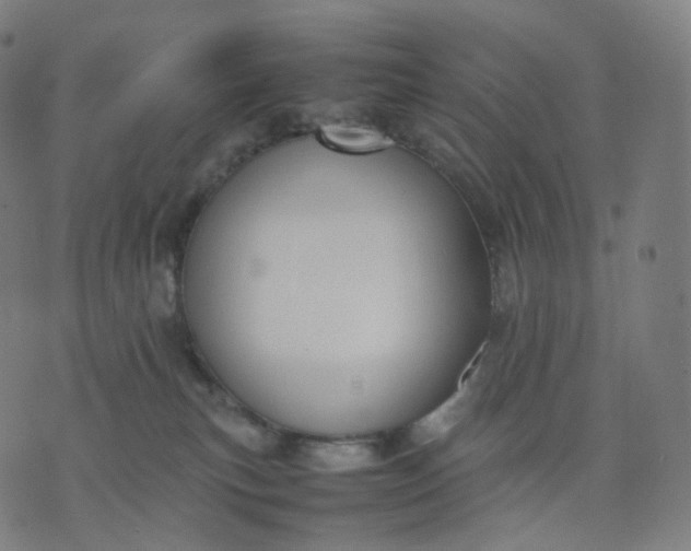 X0000070370183200606231656