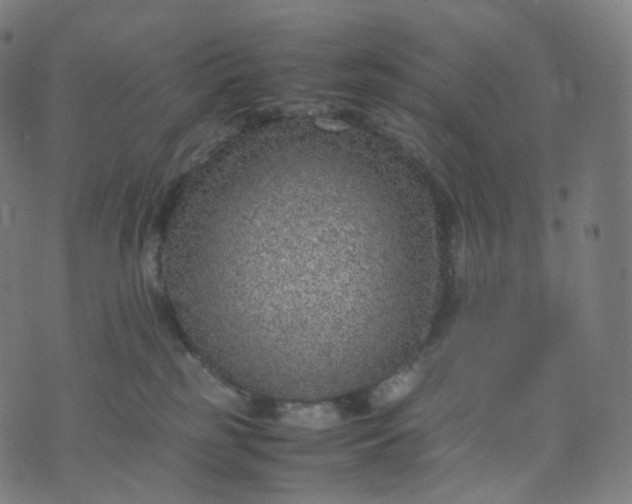 X0000070370185200606231656