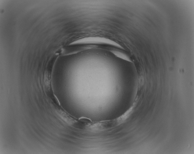 X0000070370186200606231656