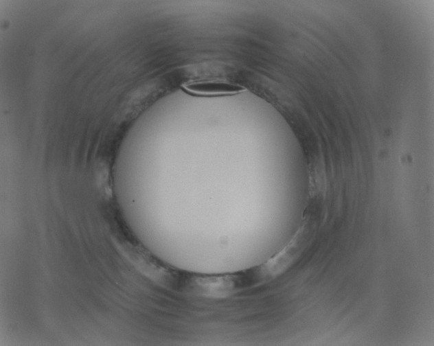 X0000070370187200606231656