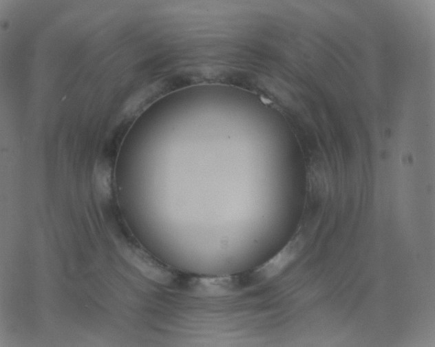 X0000070370188200606231656