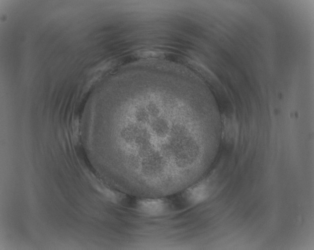 X0000070370189200606231656