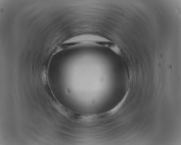 X0000070370190200606231656