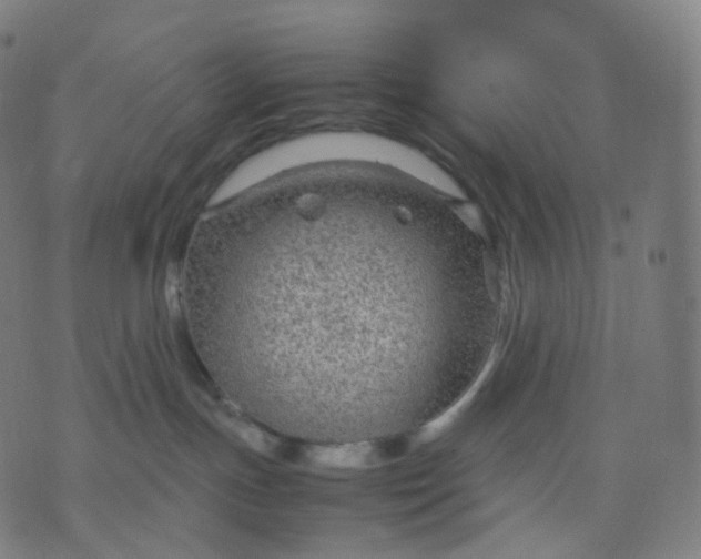 X0000070370191200606231656