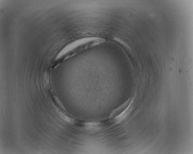 X0000070370192200606231656