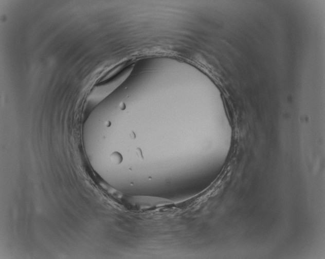 X0000070370193200606231656