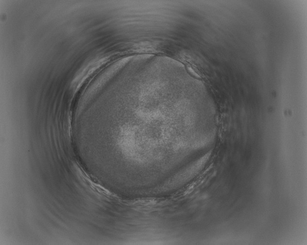 X0000070370194200606231656