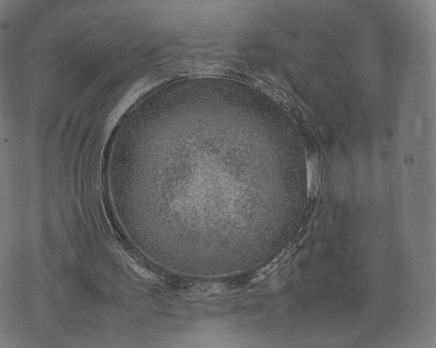 X0000070370195200606231656