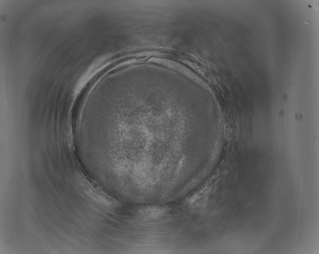 X0000070370198200606231656