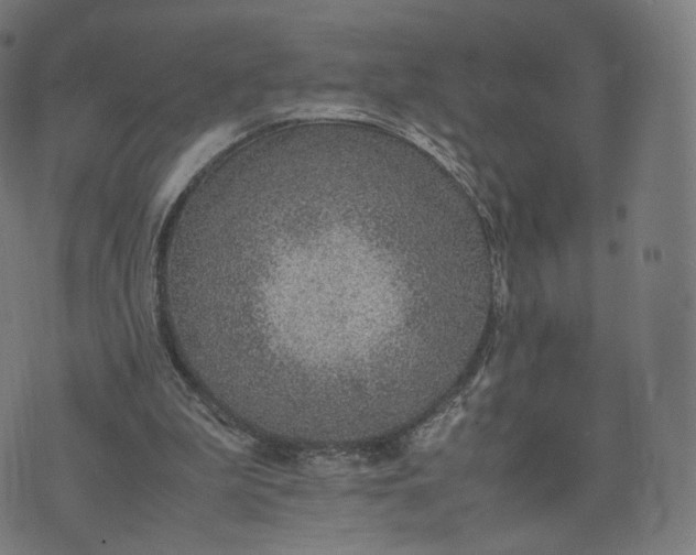 X0000070370199200606231656