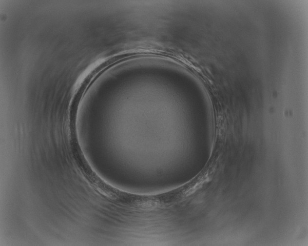 X0000070370200200606231656