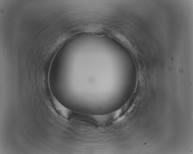 X0000070370201200606231656