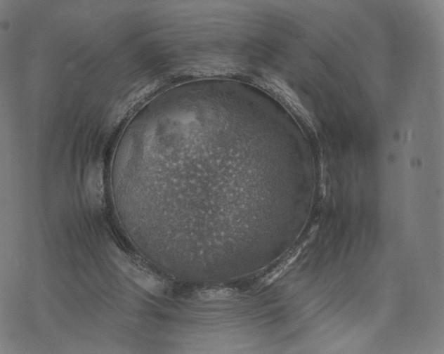 X0000070370202200606231656