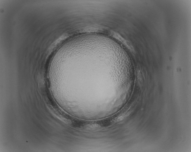 X0000070370203200606231656