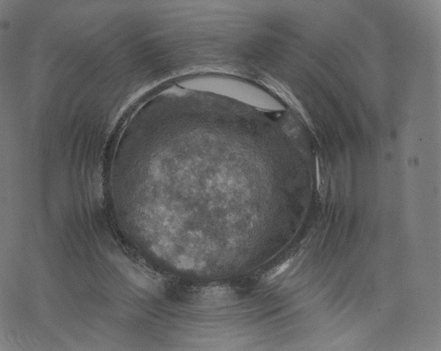 X0000070370204200606231655