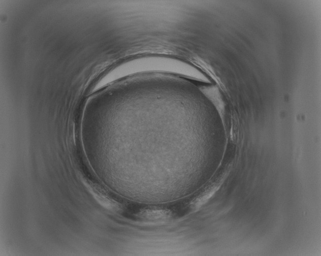 X0000070370205200606231655