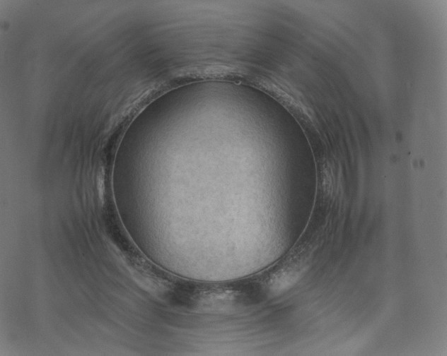 X0000070370206200606231655