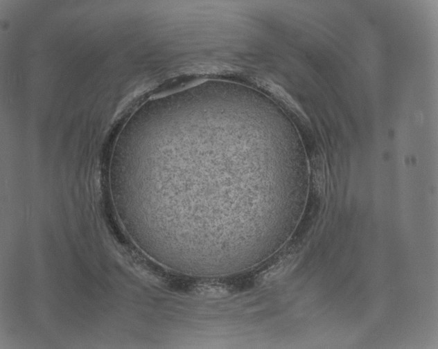 X0000070370207200606231655