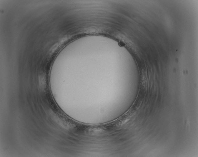 X0000070370208200606231655