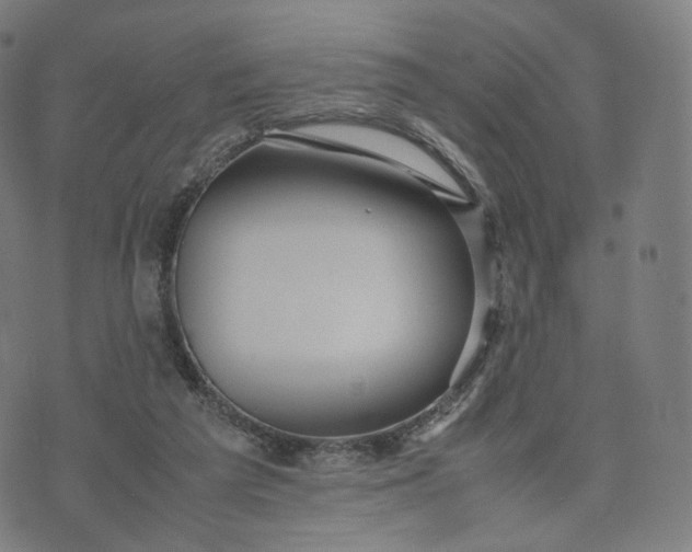 X0000070370209200606231655