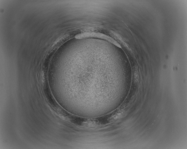 X0000070370211200606231655