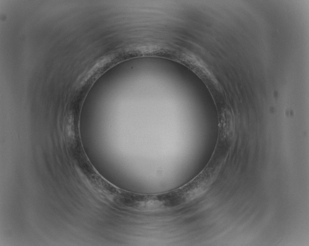 X0000070370212200606231655