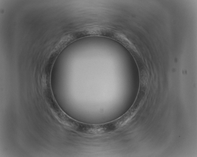 X0000070370213200606231655