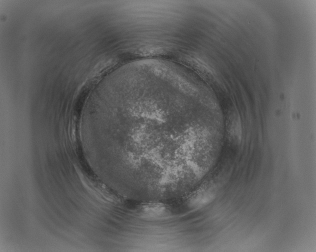 X0000070370214200606231655