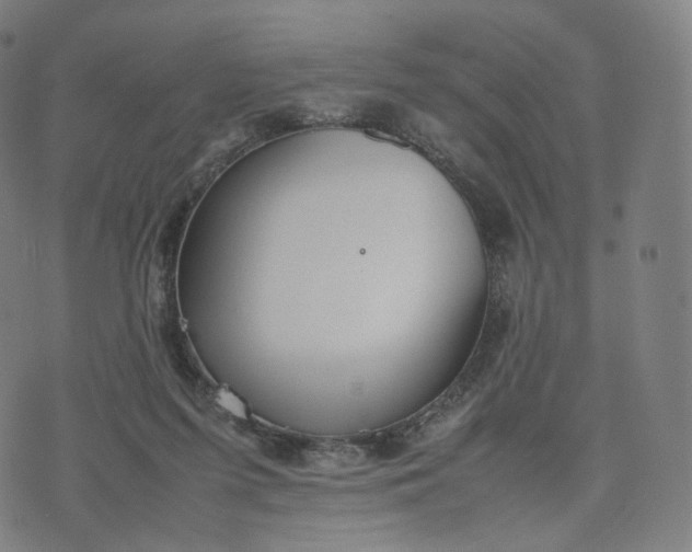 X0000070370215200606231655