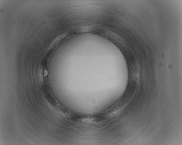 X0000070370216200606231655