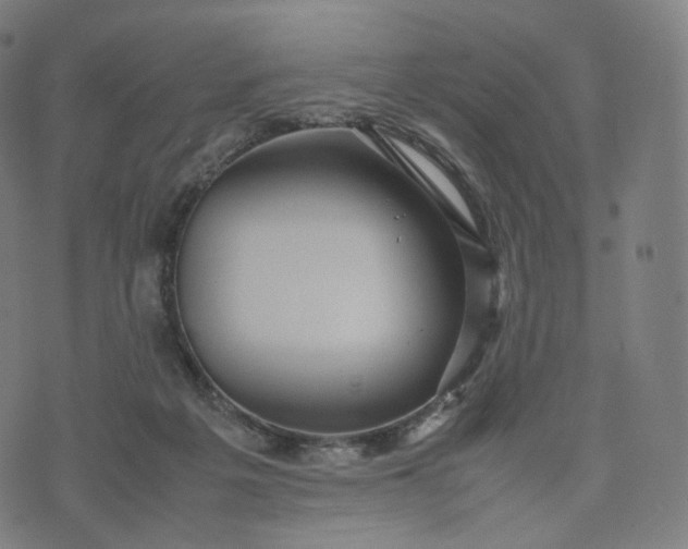 X0000070370217200606231655