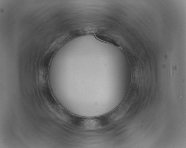 X0000070370218200606231655