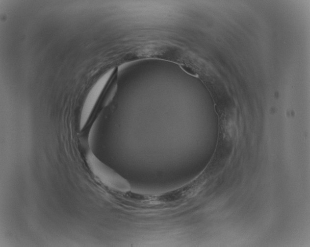 X0000070370219200606231655