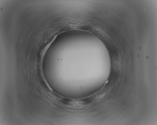 X0000070370221200606231655