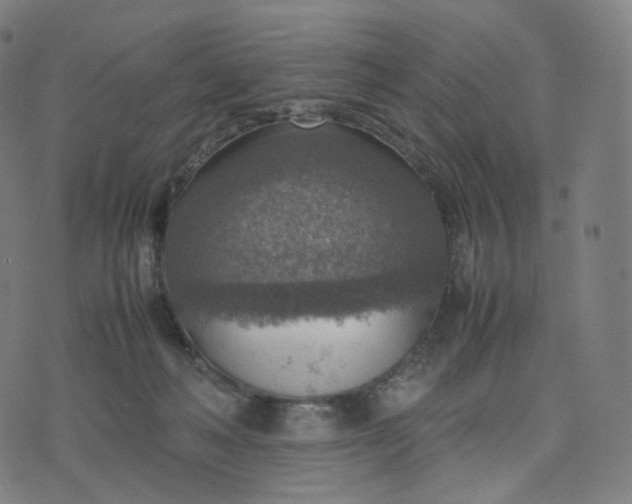 X0000070370222200606231655