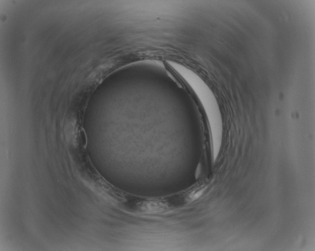 X0000070370223200606231655