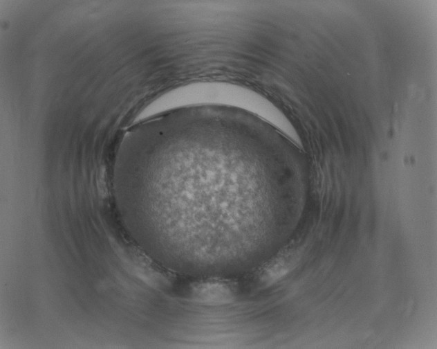 X0000070370224200606231655