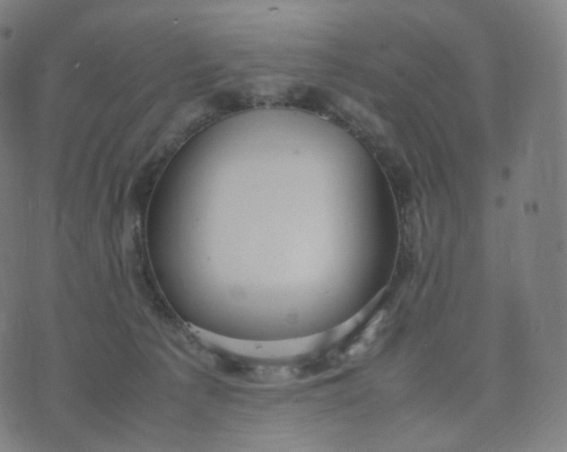 X0000070370225200606231655