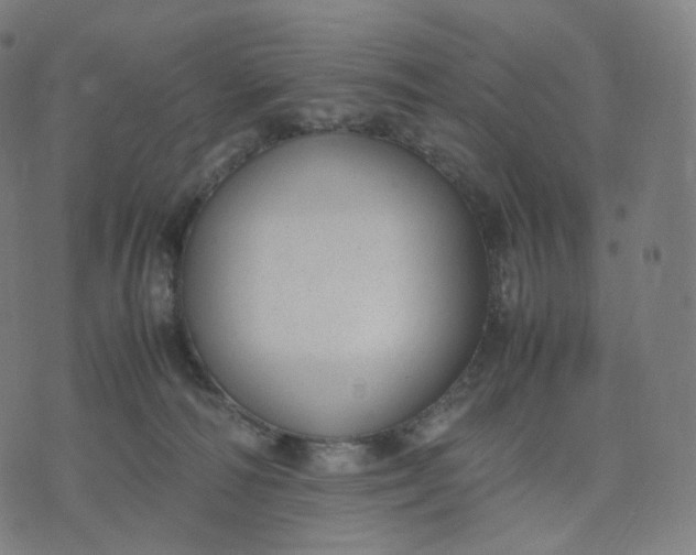 X0000070370226200606231655