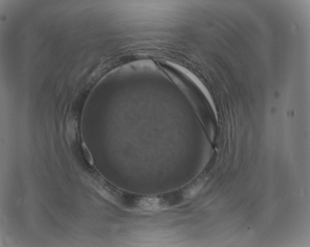 X0000070370227200606231655